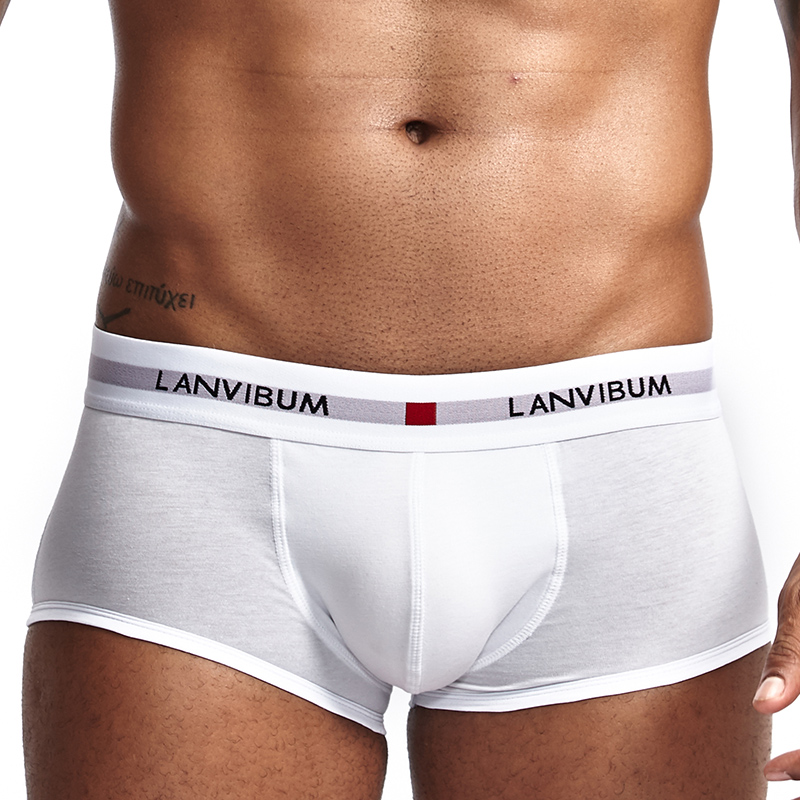 LANVIBUM ملابس داخلية للرجال ا - مراجعة Boxer Shorts Modal وسعره