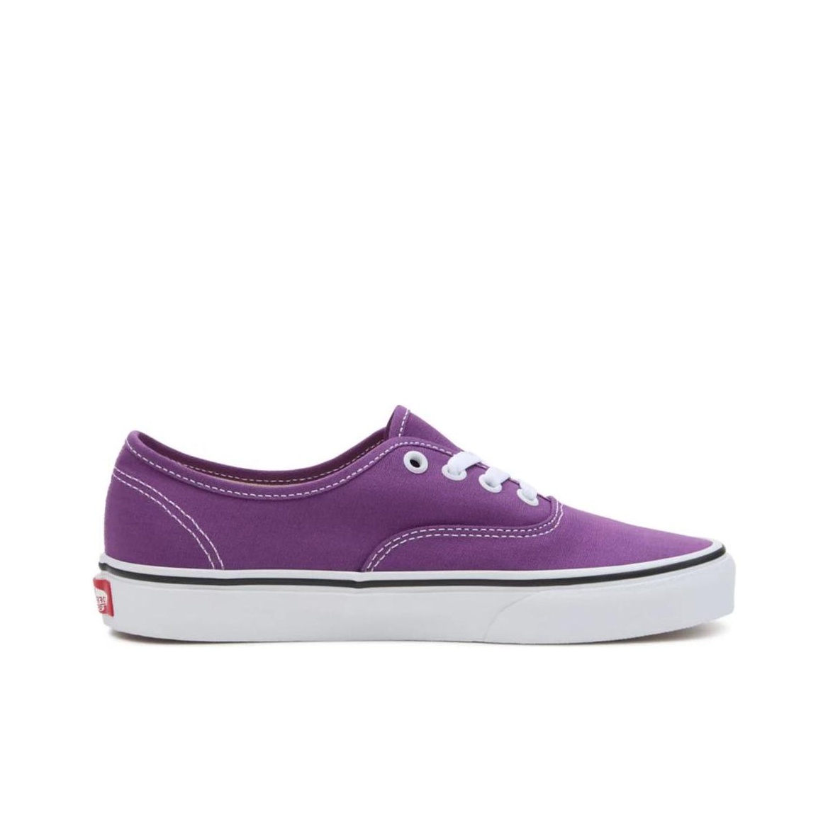 حذاء تزلج منخفض الارتفاع من فا - مراجعة Vans Shoes Authentic وسعره