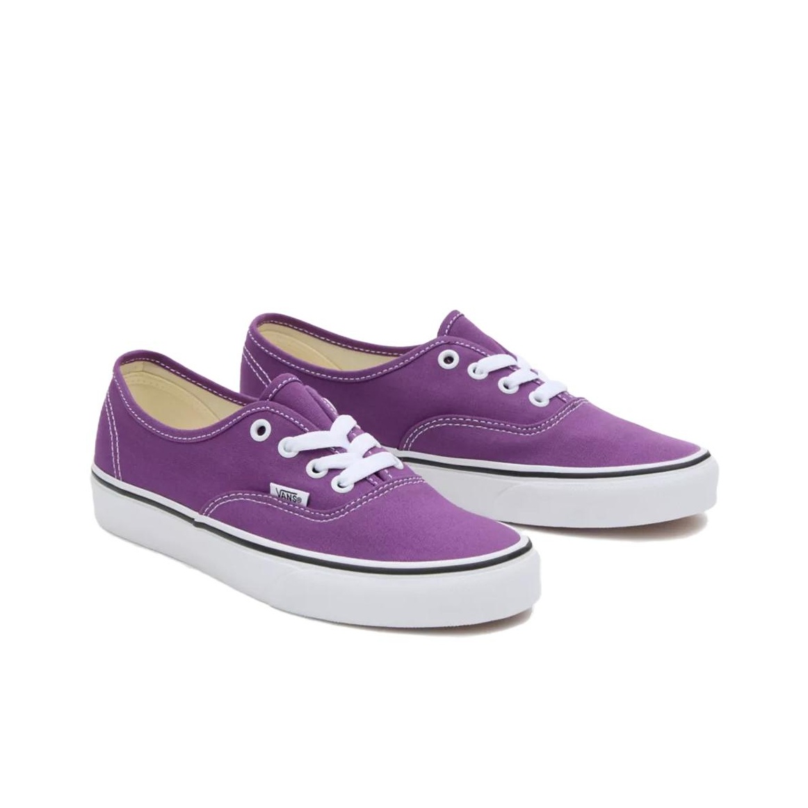 حذاء تزلج منخفض الارتفاع من فا - مراجعة Vans Shoes Authentic وسعره